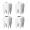 Figurine decorative personalizzate portapenne in ceramica creativa moda dente dolomite ufficio