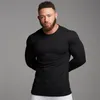 Mens Sweaters Muscleguys automne mode mince chandails hommes à manches longues pulls homme Oneck solide Slim Fit chandails haut tricot pull homme 220912