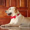 Collares para perros Collar personalizado Lindo Bowknot Collar de identificación para mascotas Anti-pérdida con accesorios de pajarita para perros pequeños, medianos y grandes