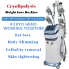 Cryolipólise Gord Slimming Machine Perda de peso Mini Cryo Double Chin Remoção 4 Cabeças de vácuo trabalhando juntas