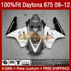 OEM Full Fairings For Daytona 675 675R 2009 2010 2011 2012 Body 150No.86 Daytona675 2009-2012 Bodywork Daytona 675 R 09 10 11 12 Injection mold Fairing grey glossy