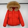 Piumino da donna Grande vera pelliccia di procione con cappuccio Piumino invernale 90% Piumino d'anatra Donna Corto femminile Piumino Piuma Parka impermeabile 220913