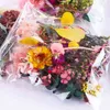 Faux kwiatowa zieleń 20G kolorowe suszone głowy kwiatowe rośliny do żywicy epoksydowej Naszyjnik