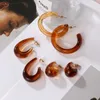Dange oorbellen mode acryl bruine hoepel sets voor vrouwen meisjes hars ronde brincos 2022 trend accessoires sieraden