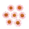 Faux Floral Greenery 12Pcs Dried Flower Cup Printed Daisy Plants For Epoxy Resin Pendant Necklace Jewelry Making Craft Diy Nail Art Accessories J220906