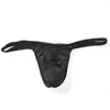 Caleçons hommes Sexy taille basse maille slips string Bikini string t-back sous-vêtements mince Nylon respirant Underpan