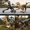 ElectricRC Animals 24 GHz RC Simulation Dinosaur RC Velociraptor Intelligent fjärrkontroll Dinosauria Toy med LED -ljus BROARING GENT till barn 220913