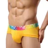 Mutande HaleyChan 1Pc Intimo da uomo Mesh Modal Vita bassa Moda Slip traspiranti Uomo Sexy Mutandine Sissy gay