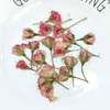 Fausse verte florale 12 pcpary nouvelles fleurs séchées plantes roses pressées naturelles pour la résine époxy bijoux de suspension de fabrication d'accessoires de nail artisanal j220906