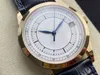 Orologi di lusso per Mens Mechanical Watch Gr Factory PP Automatico 60 Brand Swiss Ginevra WRISTACHES