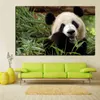 Drucken Wand Pop Art Tier Bambus Panda Bär Landschaft Ölgemälde auf Leinwand Poster Moderne Wand Bild Für Wohnzimmer cuadros