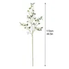 Flores decorativas Plantas de simulação folhas de água folhas artificiais eucalytus galhos verdes 1pcs pano de seda decoração de casa longiflora