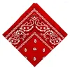 Bandanas pour femme et homme fantaisie double face imprimé cachemire