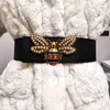 Cintura corsetto taglie forti Cinture firmate di lusso per donna di alta qualità