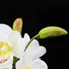 Faux Floral Greenery 73Cm Orchid Artificial Silk Flower 15 Heads Fake Plant Bouquet Home Wedding Hotel Table Window Decoration Accessories J220906