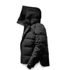 Desigenr Parka Canadian Hooded Fourrure Manteau 다운 거위 코트 Doudoune Jacketsury Designer Mens 재킷 여성 다운 후드드 따뜻한 파카 남자 자켓