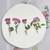 Faux Floral Greenery 12 Stück getrocknete Blumen chinesische Rose mit Zweig natürliche gepresste Pflanzen für Epoxidharz Anhänger Schmuckherstellung Handwerk Diy Zubehör J220906