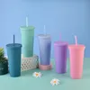 BICCHIERI DA 22OZ Bicchieri in acrilico colorato opaco con coperchi e cannucce Bicchiere riutilizzabile in plastica a doppia parete 913