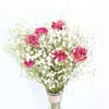 가짜 꽃 녹지 510pcs 건조 꽃 천연 카네이션 드라이 플랜트 홈 테이블 장식 액세서리 어머니의 날 선물 J220906
