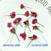 Fausse verte florale 12 pcpary nouvelles fleurs séchées plantes roses pressées naturelles pour la résine époxy bijoux de suspension de fabrication d'accessoires de nail artisanal j220906