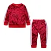 kids Clothe Sets Children Clothing gold velvet spring Autumn baby Tracksuits Sport Suit fleece jacket Casual Set 0-4Years