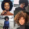 Parrucche sintetiche Rebecca Short Afro Kinky Parrucca riccia Parrucche brasiliane Remy per capelli umani per donne nere Nero Marrone Vino rosso Colore Cosplay Parrucca piena T220907