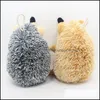 Jouets pour chiens à mâcher jouets pour chiens belle animal de compagnie chiot à mâcher en peluche jouet de morsure animaux de bande dessinée écureuil corde de coton en forme de hérisson couinement goutte livraison Dhovn