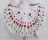 Stage Wear Ballroom Dance Clothes National Standard Long Skirt Social Costumes
