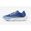 Pegasus Zoomx Vaporfly التالي 2 أحذية الركض الرجال نساء أبيض معدني الفضة الوردي Aurora الأخضر ekiden الأزرق be true stenners sneakers 36-45