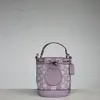 Avondtasjes New Mini Fashion Designer Bags Luxe handtassen voor dames Schoudertas Messenger Buckets Grote capaciteit Lente- en zomertrends Allmatch