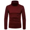 Heren Truien Mode Heren Casual Slim Fit Basic Coltrui Gebreide Trui Hoge Kraag Trui Mannelijke Dubbele Kraag Herfst Winter Tops 220914