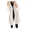 Women's Fur Women's Coat Autumn And Winter Imitation Mink Long Hooded