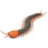 ElectricRC Animals Infrared RCリモートコントロールシミュレーションCentepede CreepyCrawly Kids Toy Gift Orange Black220914