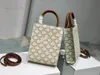 Abendtaschen Neue Mini-Tasche Designer-Taschen Luxus-Damen-Umhängetasche Handtaschen Tote Umhängetaschen Geldbörsen Einkaufen Große Kapazität