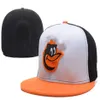 Herrmonterade Cap Orioles Baseball Hat broderad laglogotyp Fullt stängda kepsar ut dörr modeben unisex254o3599613