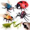 ElectricRC Animaux RC animal télécommande infrarouge Simulation insecte modèle jouets Robot électrique Halloween Prank Insectes enfants jouets araignée abeille mouche 220914