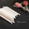 Plaststång Hollow Lollipop Sticks Kitchen Tools Self-Made Lollipops Stick Diy Chocolate Bar T9I002077