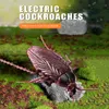 ElectricRC Animals Infraröd fjärrkontroll Insekt Toys Simulering Kackerlackor Electric RC Toy Halloween Gift för vuxna prank insekter 220914