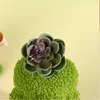 Succulente gyomes groene planten gelaagde lade Decoratie Plush tomte pop decor cacti Noordse dwerg tuingeschenken phjk2209