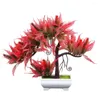 Decorative Flowers Potted Ornament Antique Vibrant Color Micro Landscape Simulation Torch Tree Bonsai Plant For Garden