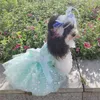 犬のアパレル2022豪華な手作りのペットの服グリーンバタフライ刺繍レースボウスパンコールプリンセスパーティードレス子犬の衣装コート