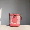 Abendtaschen Neue Mini-Modedesigner-Taschen Luxus-Damenhandtaschen Schulter-Messenger-Eimer Große Kapazität Frühlings- und Sommertrends Allmatch