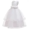 Girl Flougs 2022 Детское платье Европа и Соединенные Штаты, вышитую принцессу в большом ребенке Qidypong Вечер