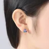 Nieuwe luxe S925 Silver Tourmaline Stud Earrings sieraden Women Fashion glanzende regenboogsteen high-end oorbellen