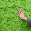 Flores decorativas 20g/40g Moss Grass Artificial Planta eterna vida parede de grama Diy Flor Material Micro paisagem Acessório Jardim doméstico