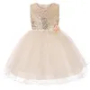 Vestidos de menina 3-13 Kids-Kids Flor Girls Dress Girls Dress Fest Party Wedding Ball vestido de baile da princesa ocasião formal