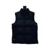 22SS Fashion Men vest Down cotton waistcoat designs Mens and womens No Sleeveless Jacket puffer Autumn Winter Casual Coats Couples vests Keep warm Coat