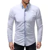 Casual shirts voor heren trim Fit Mens Smart Dress Turndown Collar Lange Mouw Solid Business Men Clothing 220915