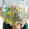 Faux kwiatowa zieleń kolorowy gipsophila sztuczne kwiaty długie stalowe fałszywe kwiaty bukiet dzieci oddychaj jedwabne kwiaty weselne dekoracja domowa j220906