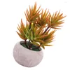 Fiori decorativi Piante Piante grasse in vaso finte artificiali Mini Aloe finta Orchidgrass Portico verde Piccolo vaso di simulazione Desktop